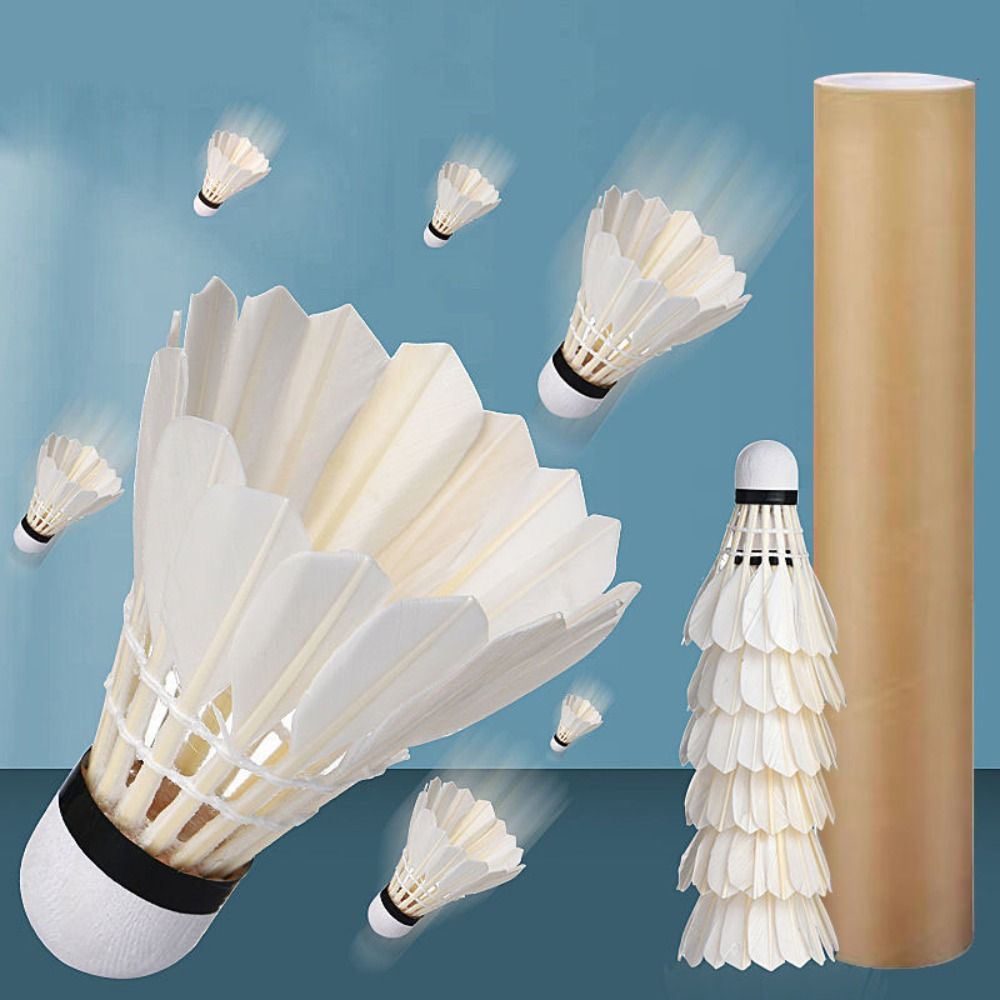3/6/12 unidades de nuevas bola - Feather Shuttlecock reseña y precio