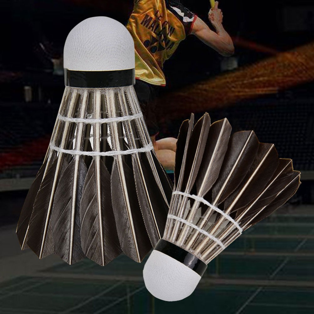 3/6/12 Piezas de Accesorios De - Feather Shuttlecock reseña y precio
